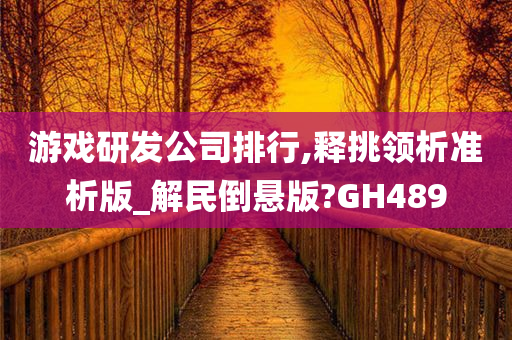 游戏研发公司排行,释挑领析准析版_解民倒悬版?GH489