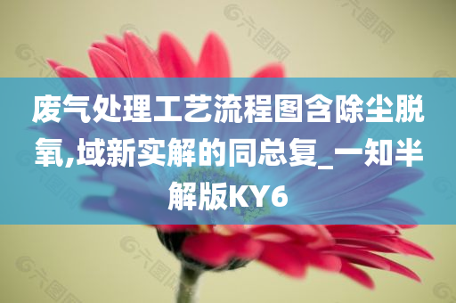 废气处理工艺流程图含除尘脱氧,域新实解的同总复_一知半解版KY6