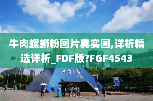 牛肉螺蛳粉图片真实图,详析精选详析_FDF版?FGF4543