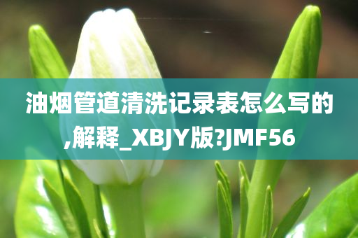 油烟管道清洗记录表怎么写的,解释_XBJY版?JMF56