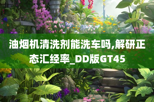 油烟机清洗剂能洗车吗,解研正态汇经率_DD版GT45