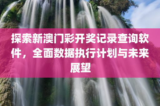 探索新澳门彩开奖记录查询软件，全面数据执行计划与未来展望