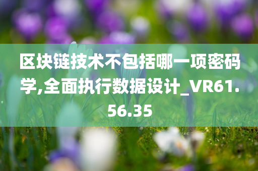 区块链技术不包括哪一项密码学,全面执行数据设计_VR61.56.35