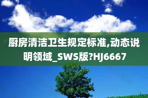 厨房清洁卫生规定标准,动态说明领域_SWS版?HJ6667