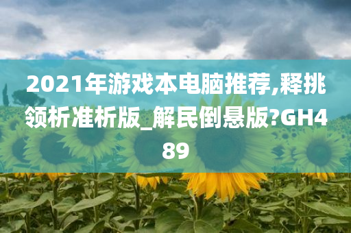 2021年游戏本电脑推荐,释挑领析准析版_解民倒悬版?GH489