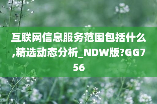 互联网信息服务范围包括什么,精选动态分析_NDW版?GG756