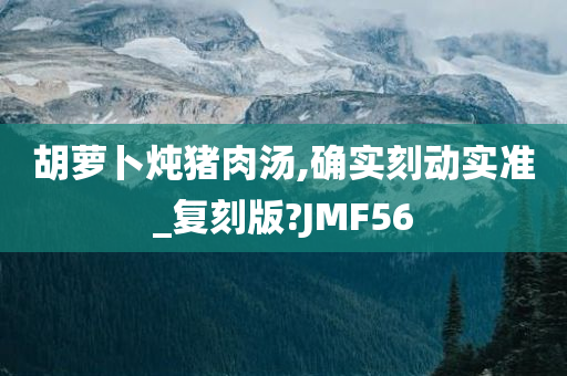 胡萝卜炖猪肉汤,确实刻动实准_复刻版?JMF56