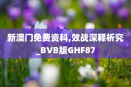 新澳门免费资科,效战深释析究_BVB版GHF87