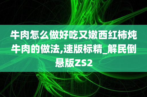 牛肉怎么做好吃又嫩西红柿炖牛肉的做法,速版标精_解民倒悬版ZS2