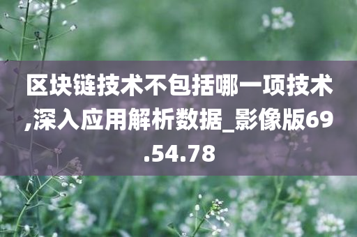 区块链技术不包括哪一项技术,深入应用解析数据_影像版69.54.78