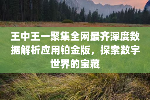 王中王一聚集全网最齐深度数据解析应用铂金版，探索数字世界的宝藏