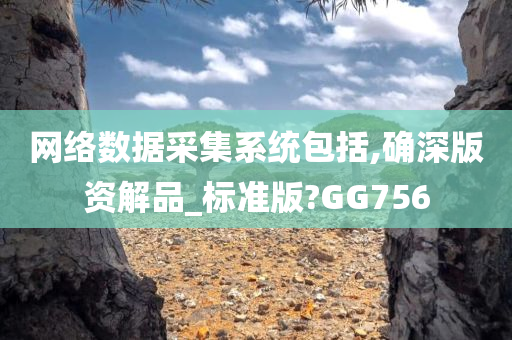 网络数据采集系统包括,确深版资解品_标准版?GG756