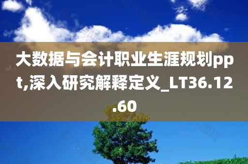 大数据与会计职业生涯规划ppt,深入研究解释定义_LT36.12.60