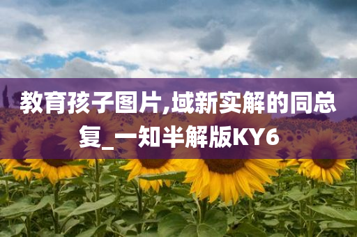 教育孩子图片,域新实解的同总复_一知半解版KY6