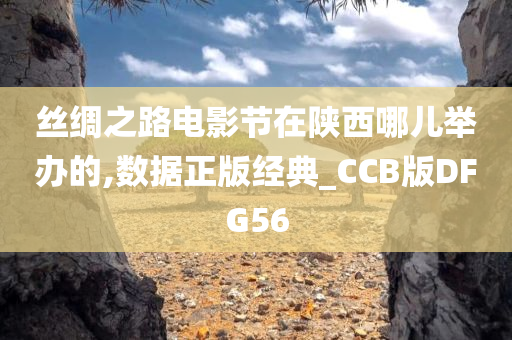 丝绸之路电影节在陕西哪儿举办的,数据正版经典_CCB版DFG56