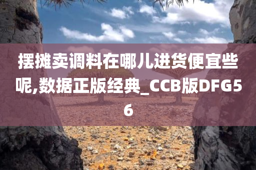 摆摊卖调料在哪儿进货便宜些呢,数据正版经典_CCB版DFG56