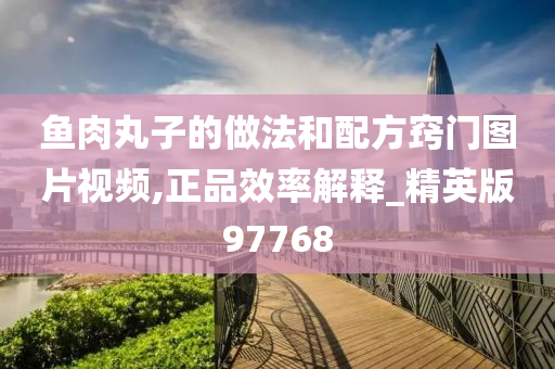 鱼肉丸子的做法和配方窍门图片视频,正品效率解释_精英版97768