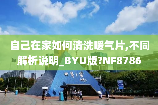 自己在家如何清洗暖气片,不同解析说明_BYU版?NF8786