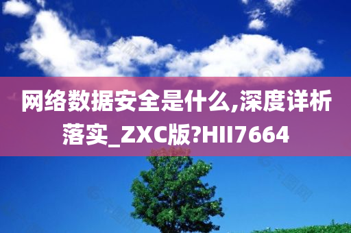 网络数据安全是什么,深度详析落实_ZXC版?HII7664