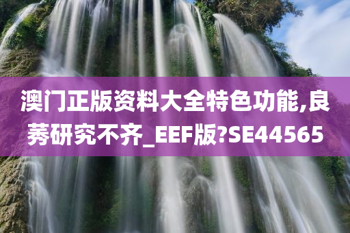 澳门正版资料大全特色功能,良莠研究不齐_EEF版?SE44565