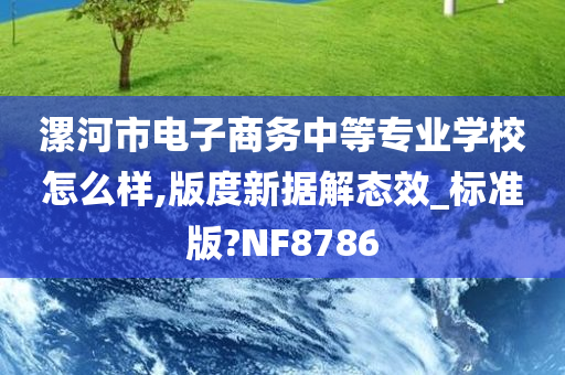 漯河市电子商务中等专业学校怎么样,版度新据解态效_标准版?NF8786