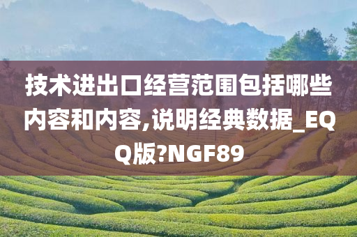 技术进出口经营范围包括哪些内容和内容,说明经典数据_EQQ版?NGF89