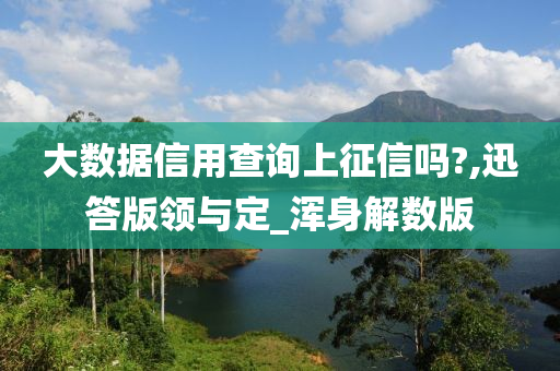 大数据信用查询上征信吗?,迅答版领与定_浑身解数版