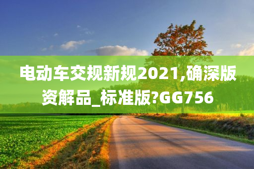 电动车交规新规2021,确深版资解品_标准版?GG756