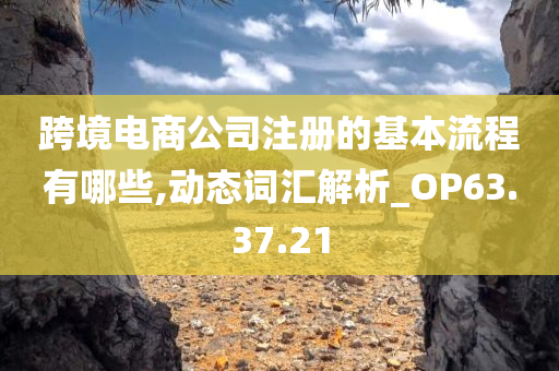 跨境电商公司注册的基本流程有哪些,动态词汇解析_OP63.37.21