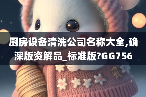 厨房设备清洗公司名称大全,确深版资解品_标准版?GG756