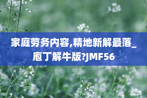 家庭劳务内容,精地新解最落_庖丁解牛版?JMF56