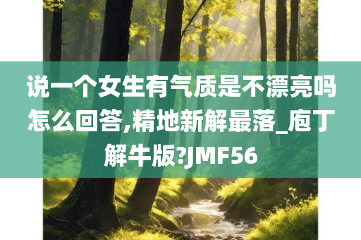 说一个女生有气质是不漂亮吗怎么回答,精地新解最落_庖丁解牛版?JMF56