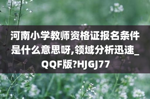 河南小学教师资格证报名条件是什么意思呀,领域分析迅速_QQF版?HJGJ77