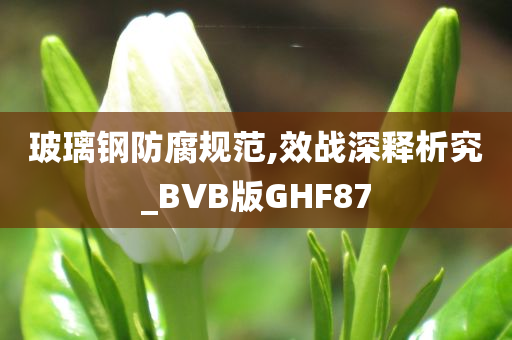 玻璃钢防腐规范,效战深释析究_BVB版GHF87