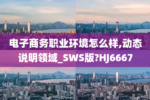 电子商务职业环境怎么样,动态说明领域_SWS版?HJ6667