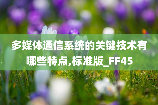 多媒体通信系统的关键技术有哪些特点,标准版_FF45