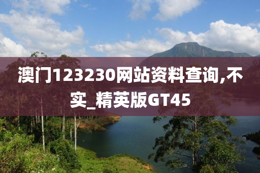 澳门123230网站资料查询,不实_精英版GT45