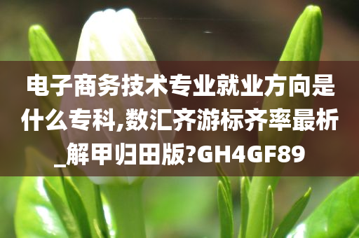 电子商务技术专业就业方向是什么专科,数汇齐游标齐率最析_解甲归田版?GH4GF89