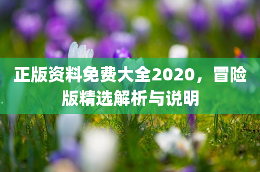 正版资料免费大全2020，冒险版精选解析与说明