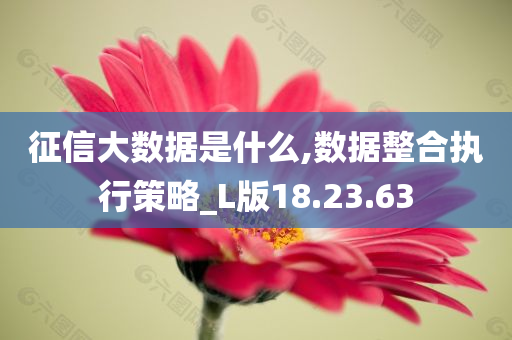 征信大数据是什么,数据整合执行策略_L版18.23.63