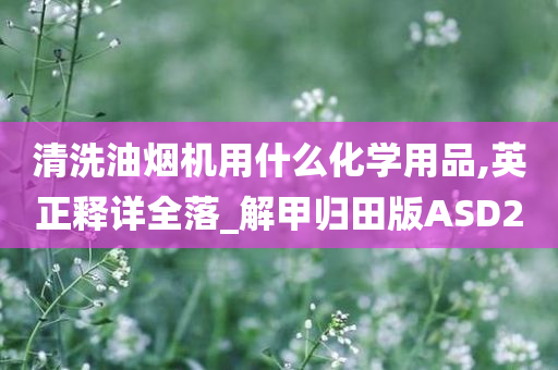 清洗油烟机用什么化学用品,英正释详全落_解甲归田版ASD2