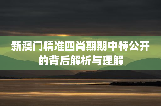 新澳门精准四肖期期中特公开的背后解析与理解