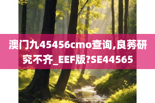 澳门九45456cmo查询,良莠研究不齐_EEF版?SE44565