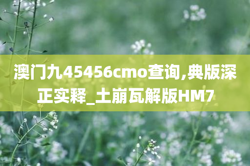 澳门九45456cmo查询,典版深正实释_土崩瓦解版HM7