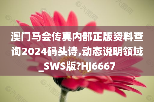 澳门马会传真内部正版资料查询2024码头诗,动态说明领域_SWS版?HJ6667