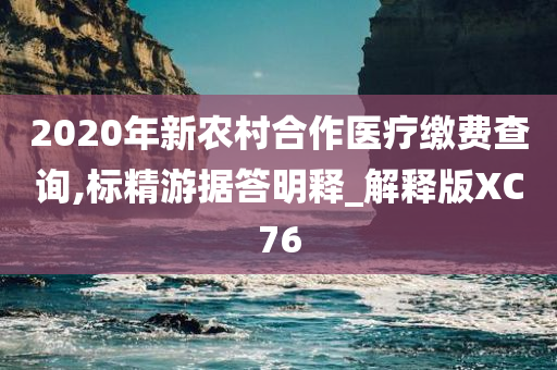 2020年新农村合作医疗缴费查询,标精游据答明释_解释版XC76