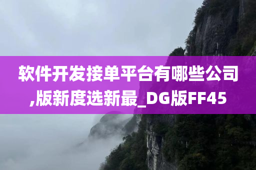 软件开发接单平台有哪些公司,版新度选新最_DG版FF45