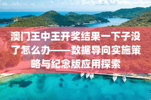 澳门王中王开奖结果一下子没了怎么办——数据导向实施策略与纪念版应用探索