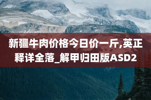 新疆牛肉价格今日价一斤,英正释详全落_解甲归田版ASD2