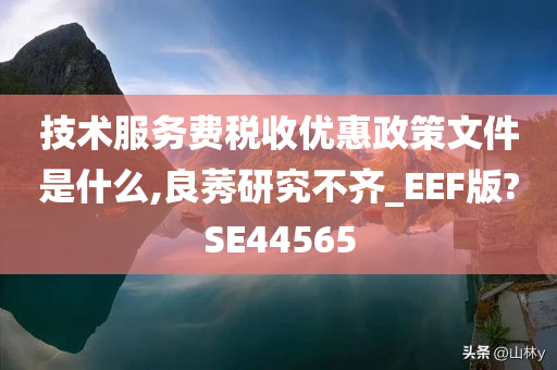 技术服务费税收优惠政策文件是什么,良莠研究不齐_EEF版?SE44565